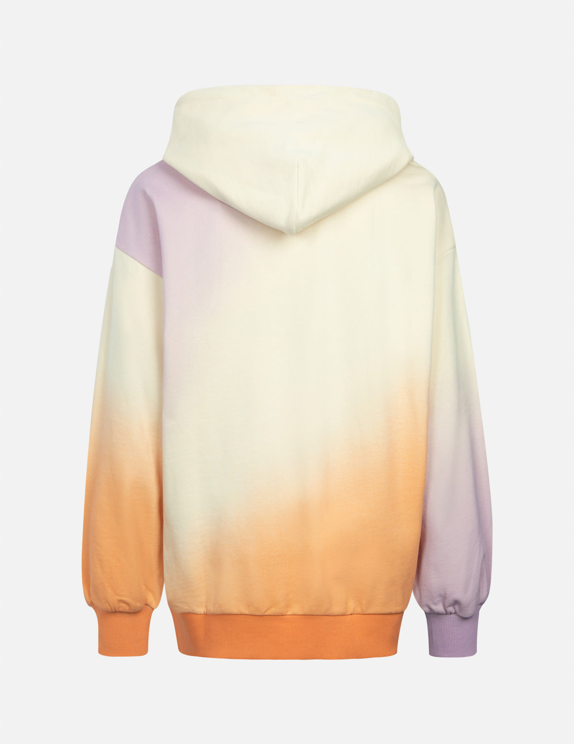 Evisu Gradient Flocking Printed Seagull Oversized Hoodie