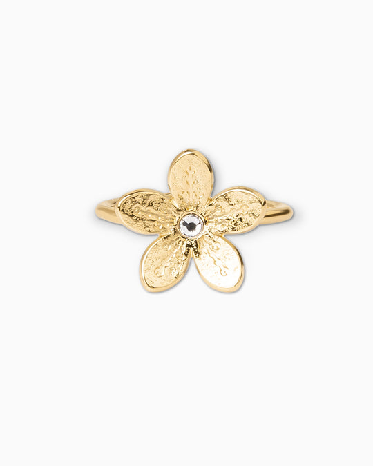 Les Interchangeables Cherry Ring