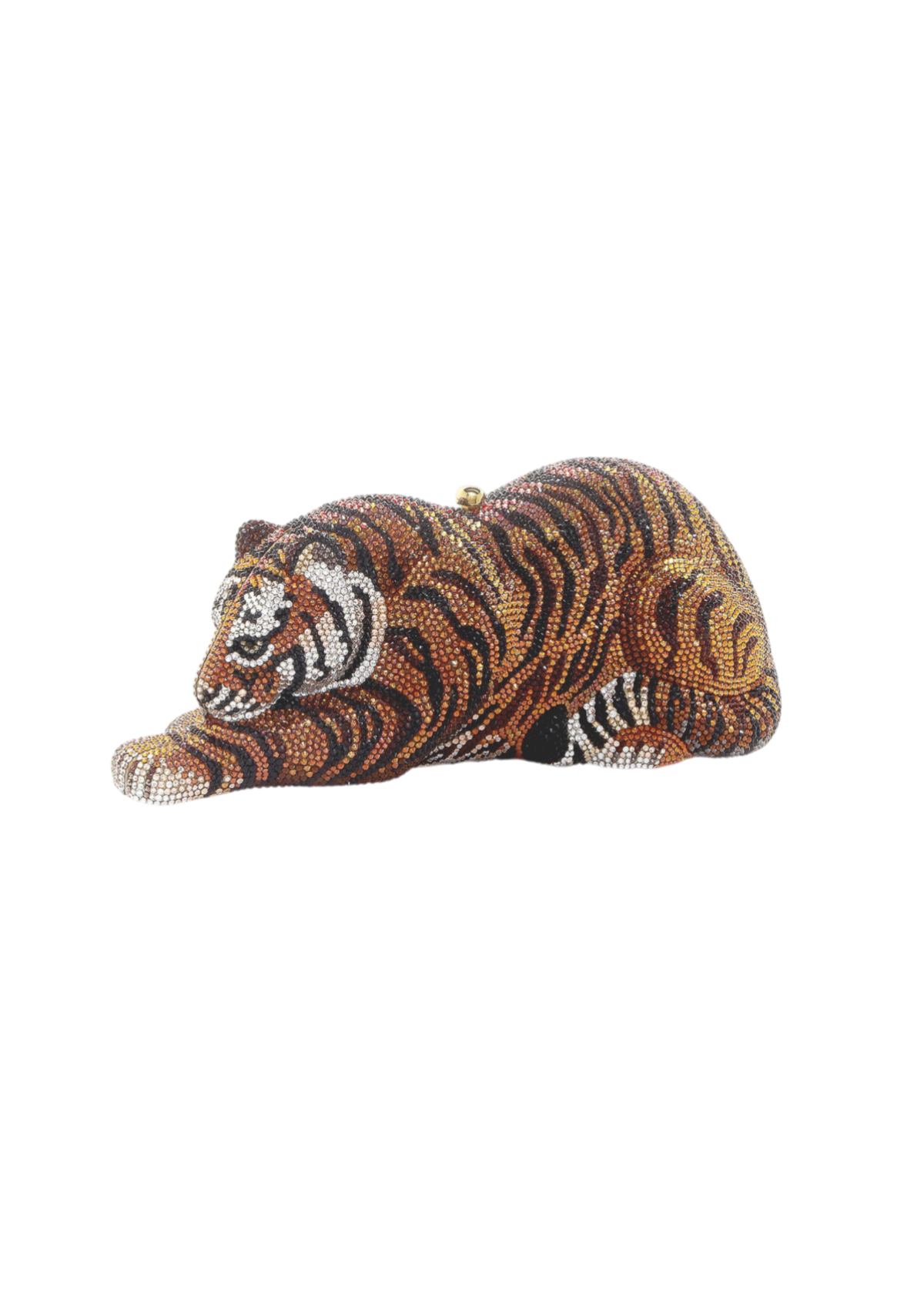Wildcat Shere Khan