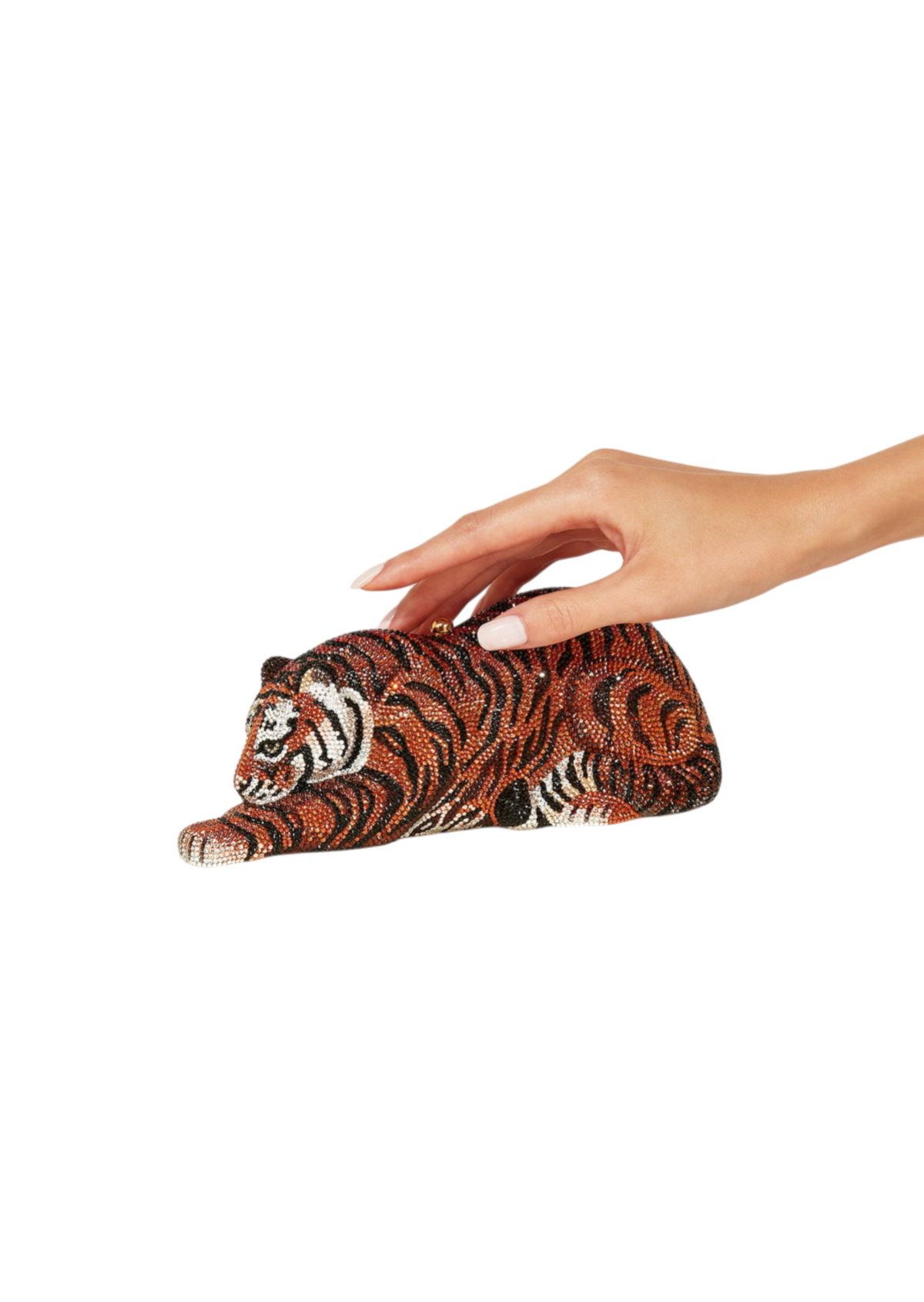 Wildcat Shere Khan