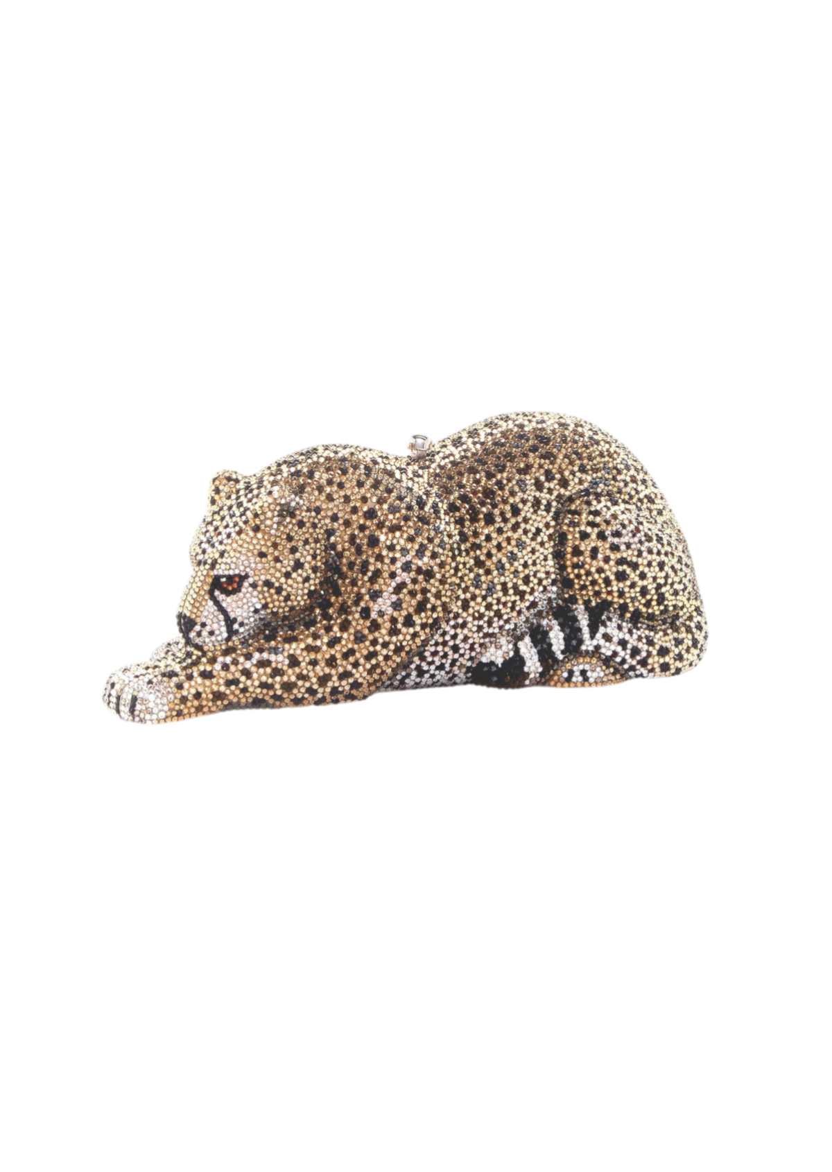 Wildcat Chiquita