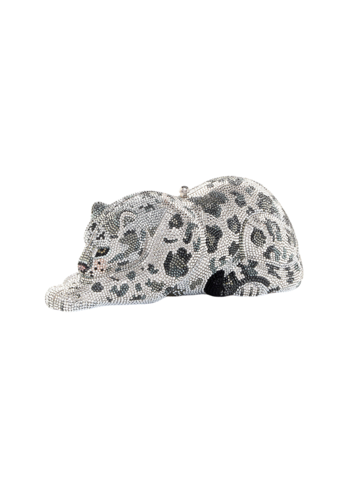 Wildcat Snow Leopard