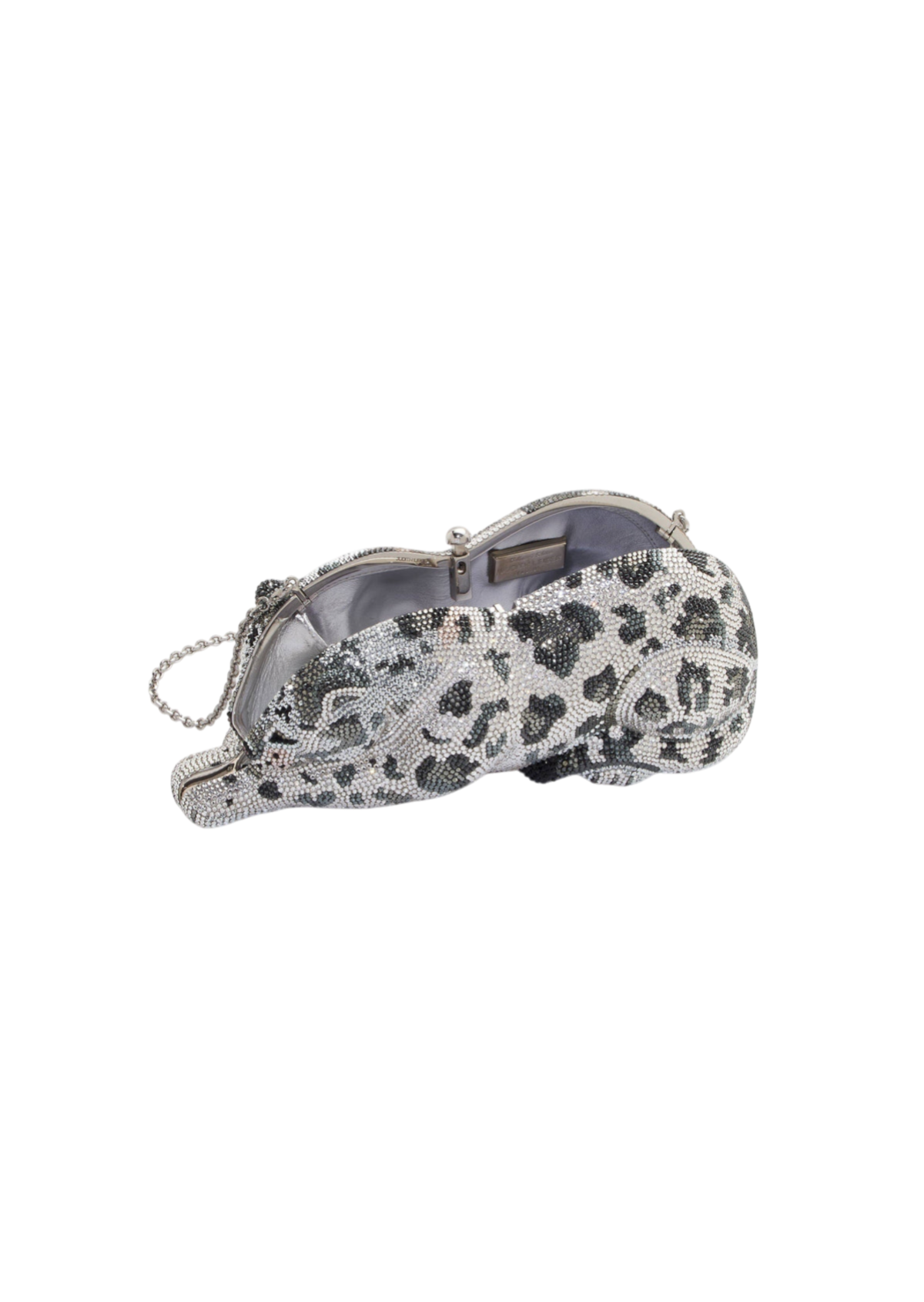 Wildcat Snow Leopard