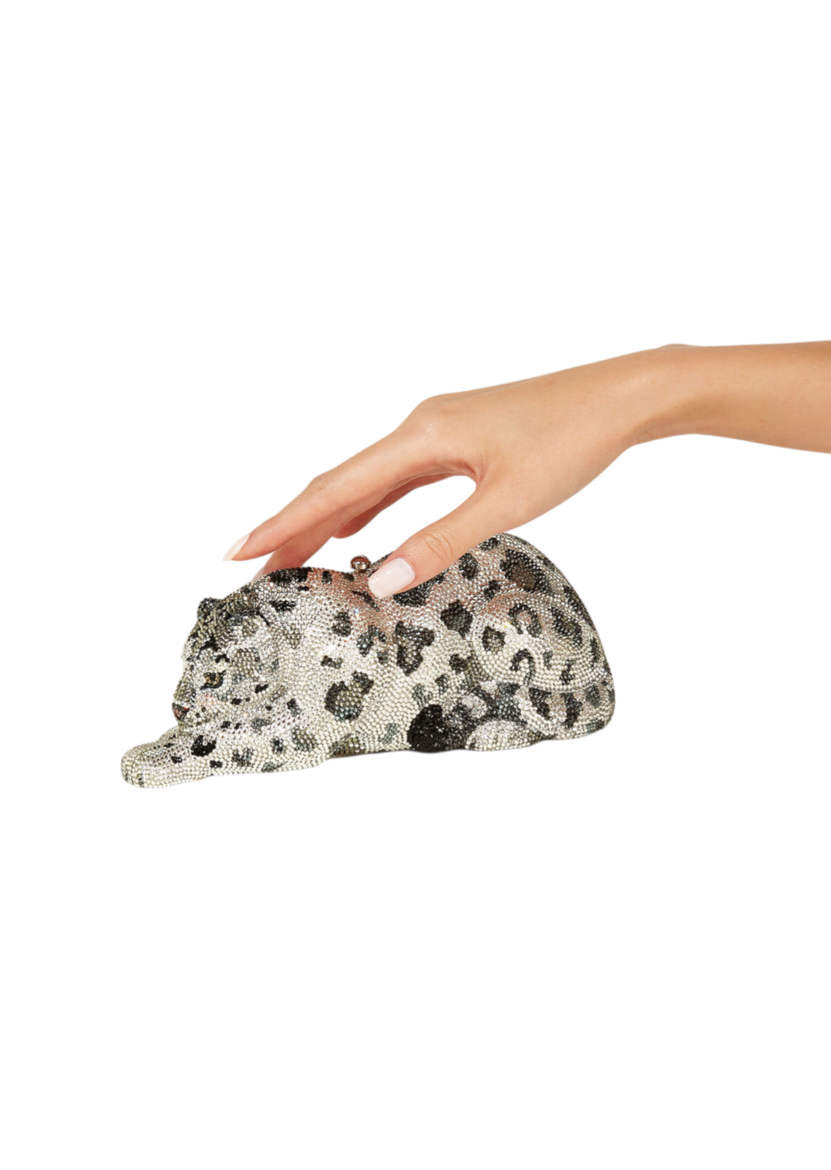 Wildcat Snow Leopard