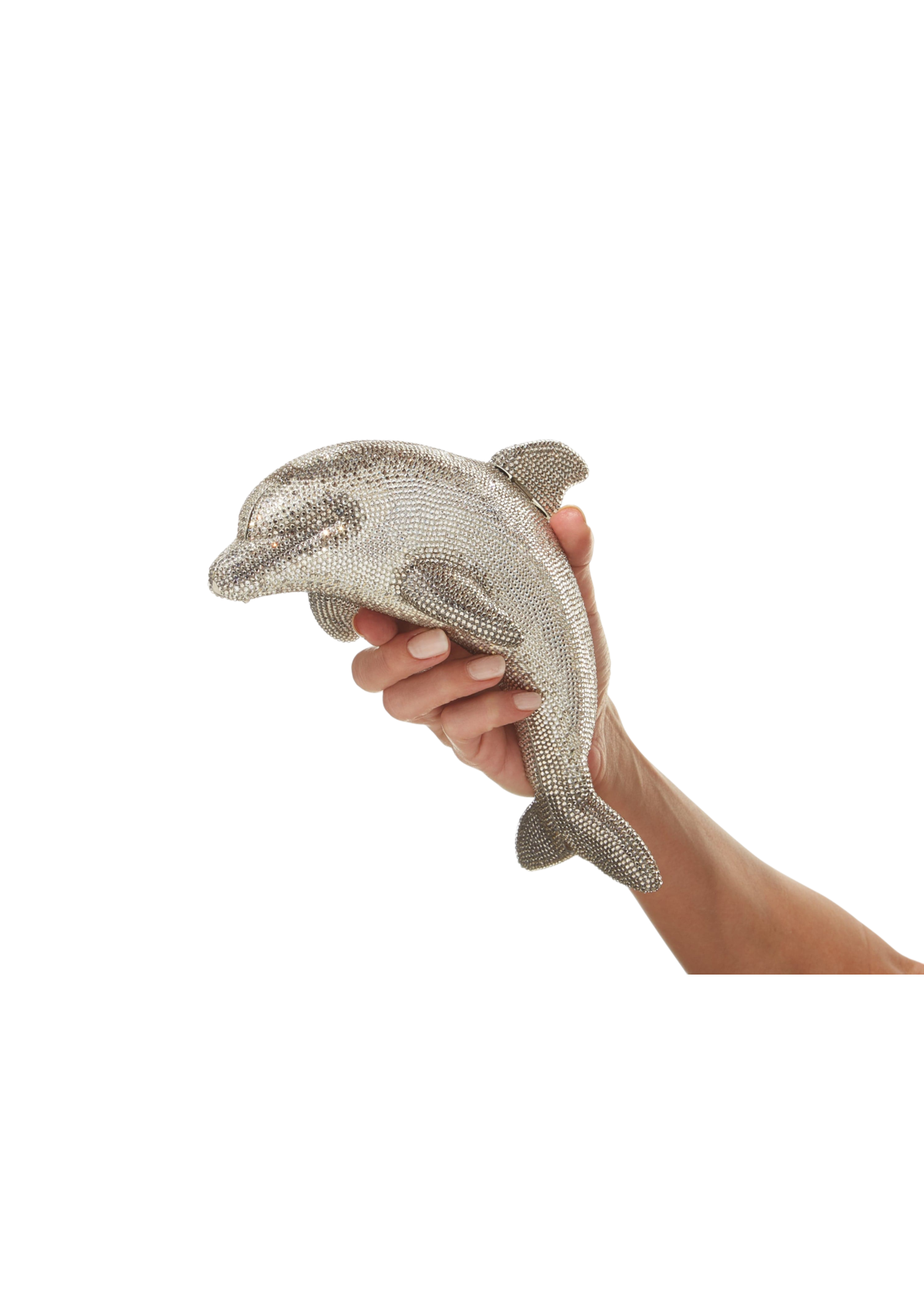 Dolphin Phin - JudithLeiberGCC