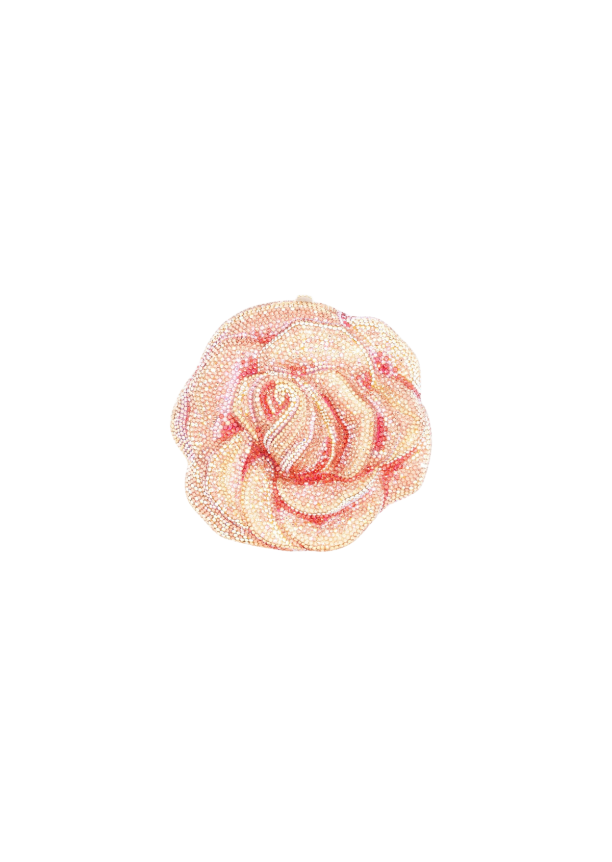 Rose Apricot