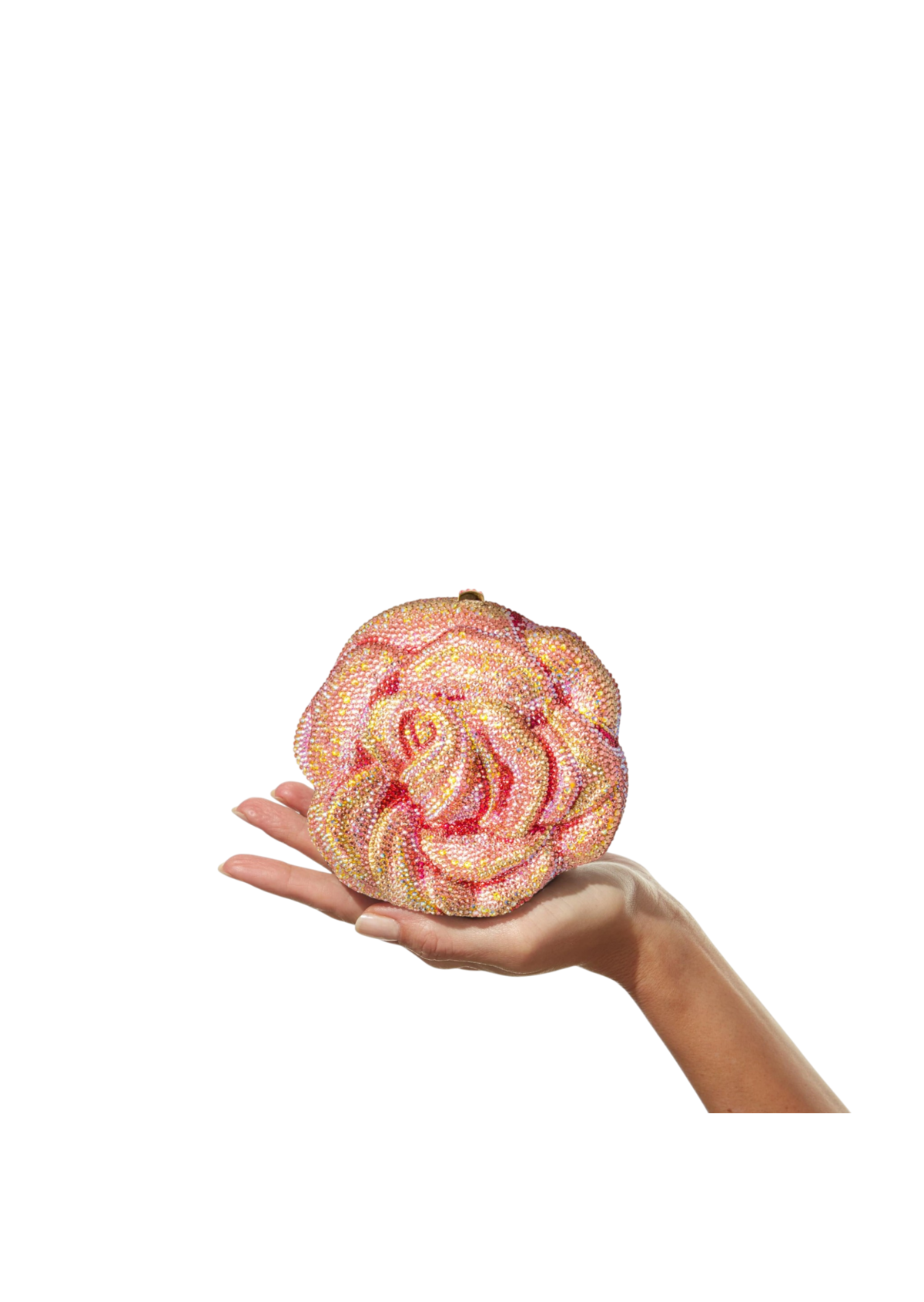Rose Apricot