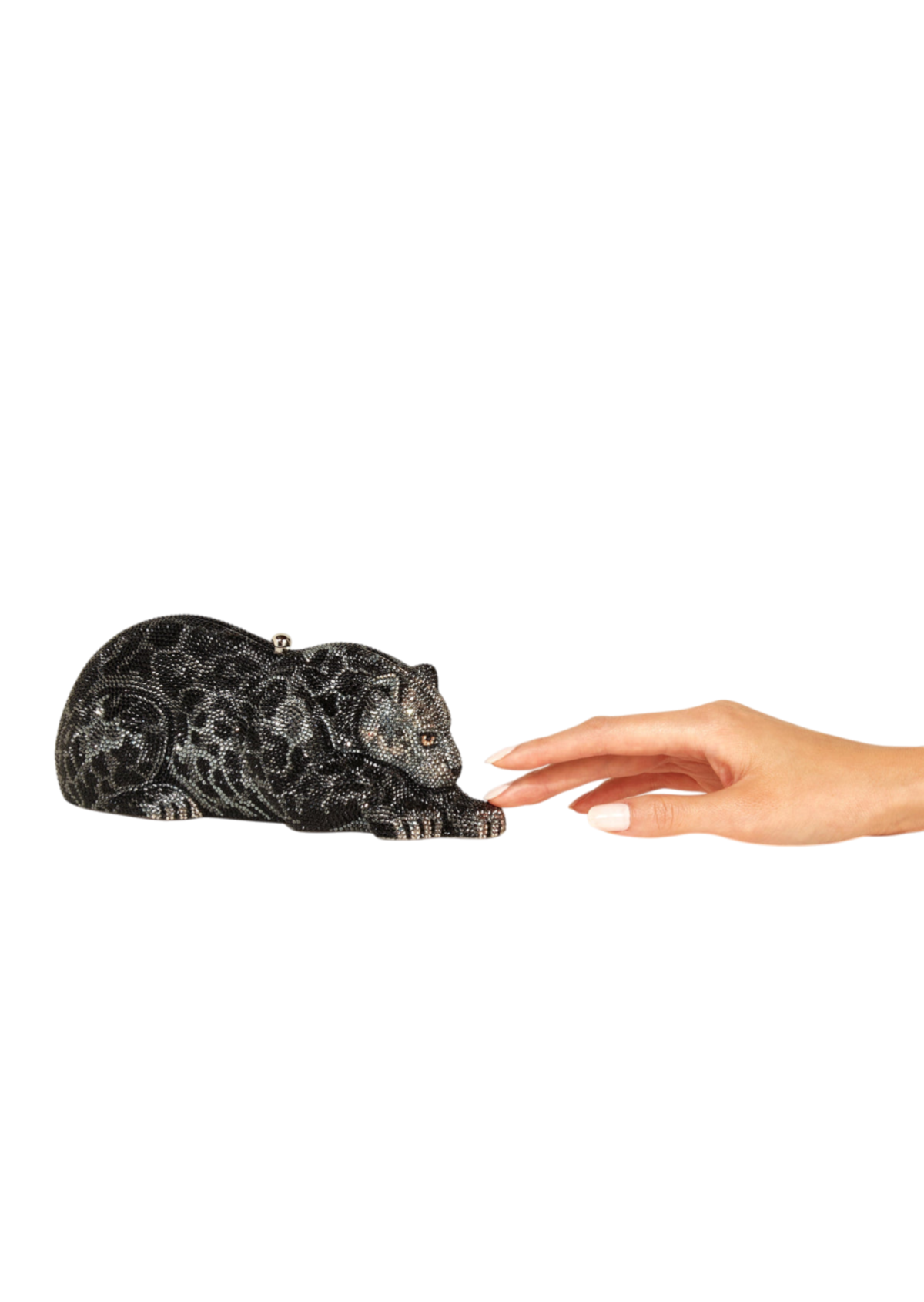 Wildcat Black Jaguar