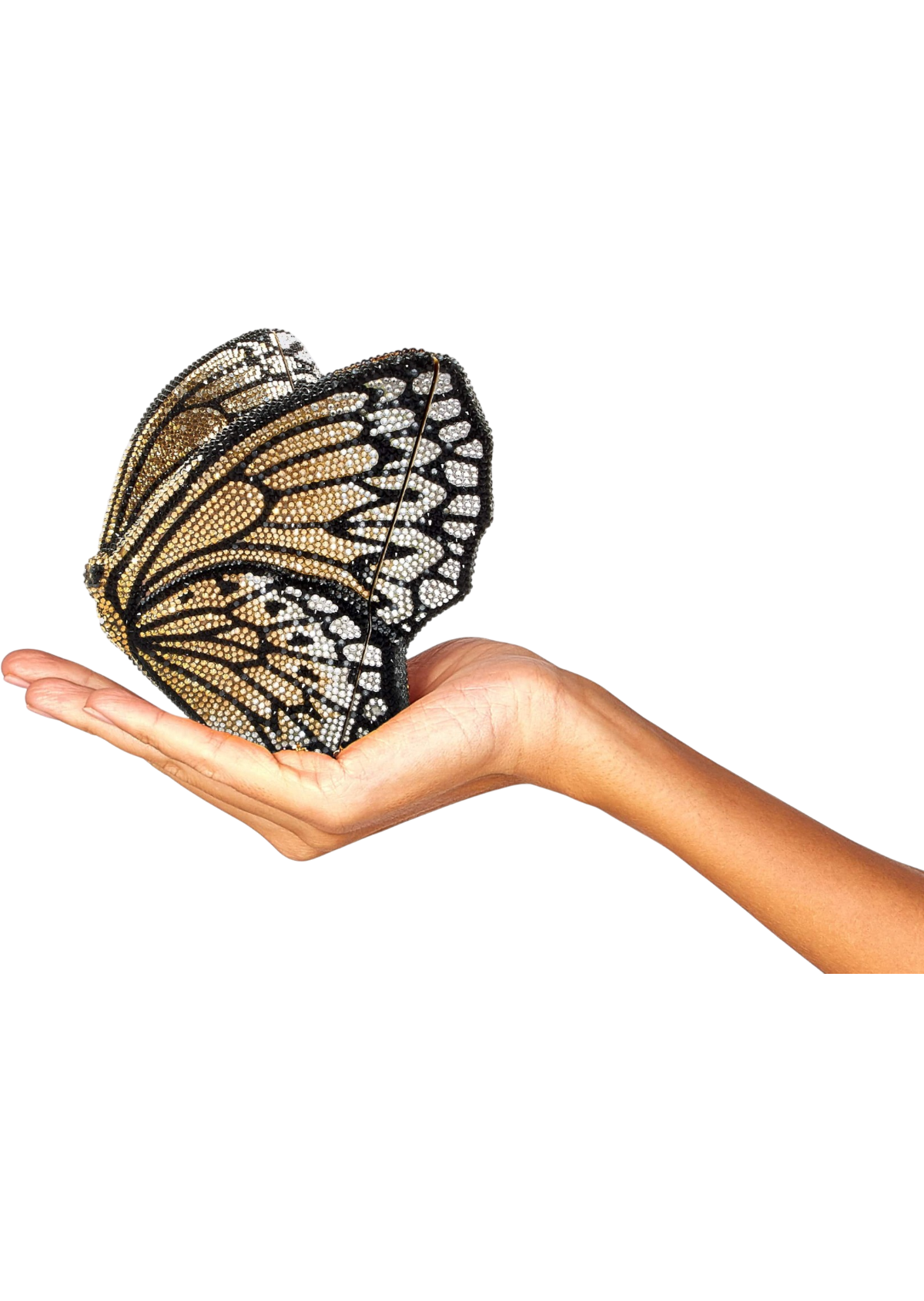Butterfly Monarch