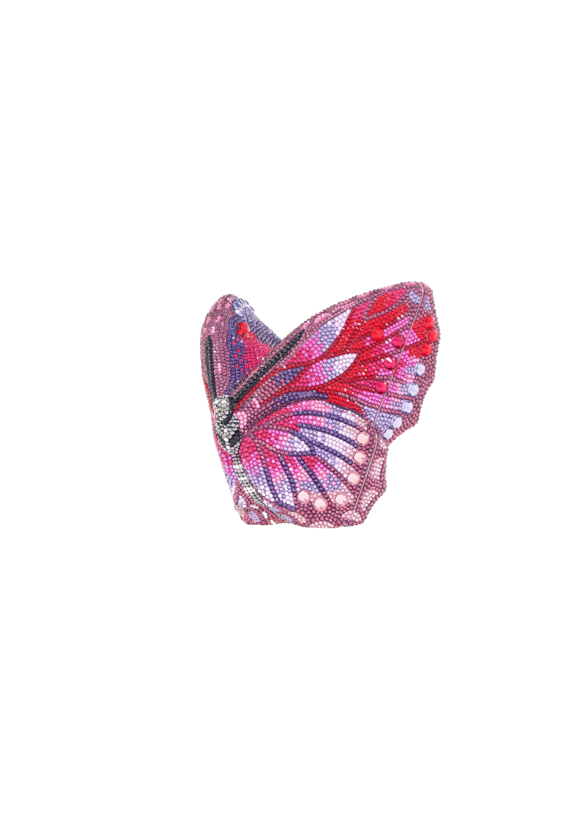 Butterfly Aurora