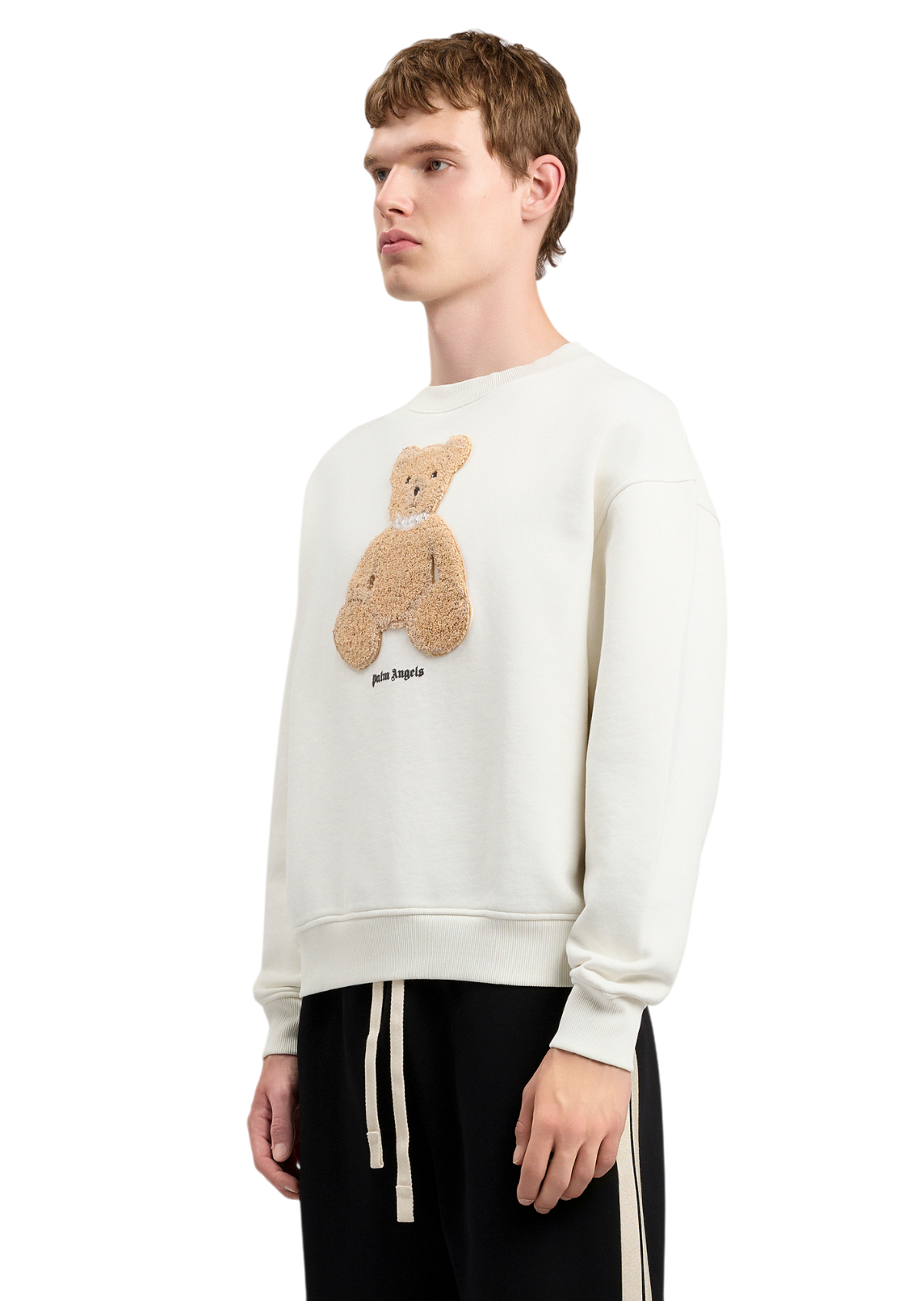 Bear Regular Crew