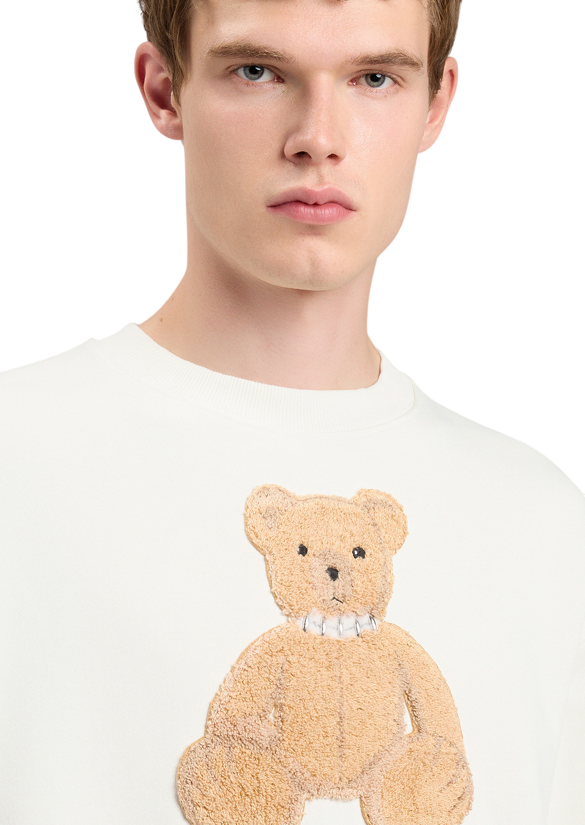 Bear Regular Crew
