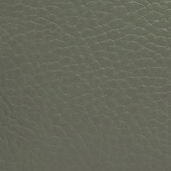 Furla Primula Webbing Strap Crossbody Bag Cac Lght Cactus Mini WB00924BX03562759S9035