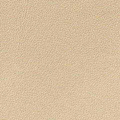 Furla Camelia Card Case Gold L WP00407 WP00407BX2658CGD001007